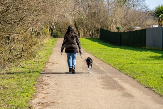 A lady walking a dog in the park